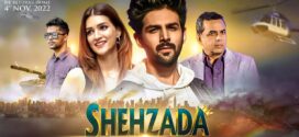 Shehzada (2023) Hindi NF WEB-DL H264 AAC 1080p 720p 480p ESub