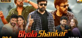 Bhola Shankar (2023) Dual Audio [Hindi HQ-Telugu] PreDVDRip x264 AAC 1080p 720p 480p Download